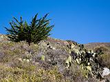 Garrapates State Park 001
